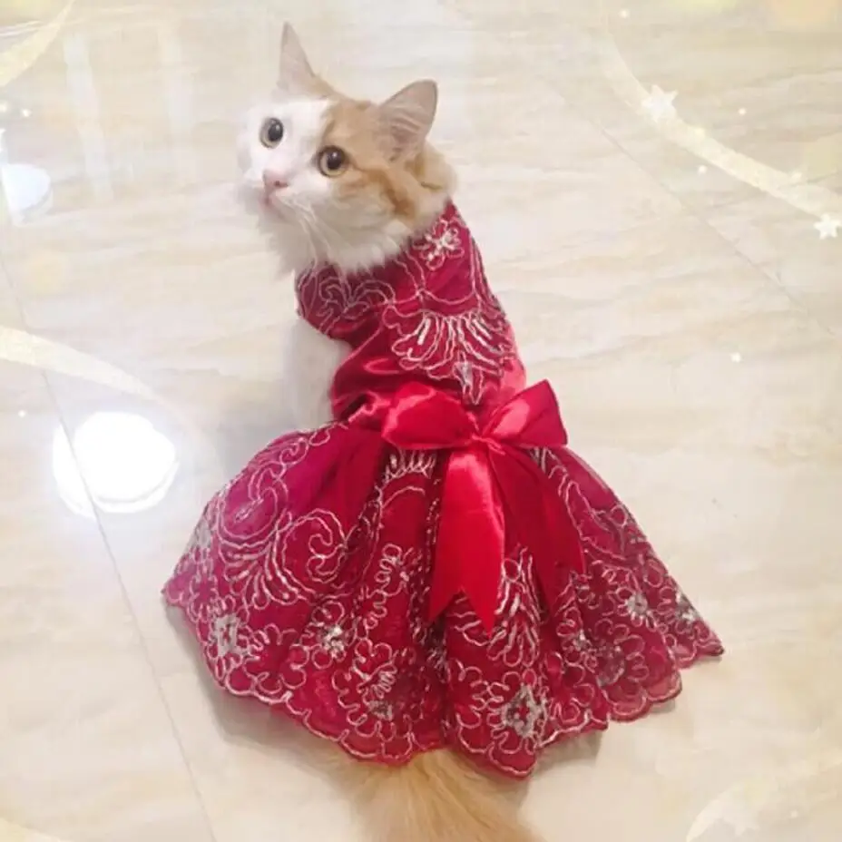 Vestido De Boda Con Gato Gatito Vestido De Gato De Encaje Falda De Osito De Tul Para Perros Y Gatos Pequenos Xs S M L Xl Vestidos Para Perro Aliexpress