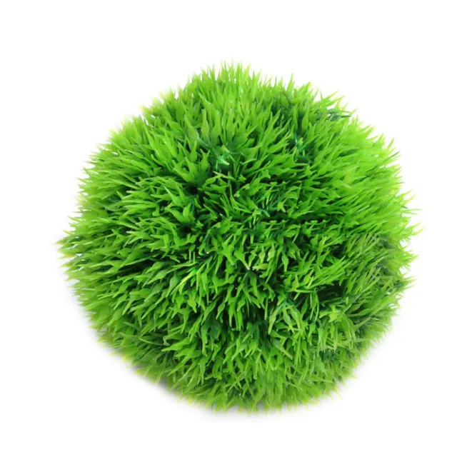 Mini Aquarium Plant Fish Tank Shrimp Nano For MARIMO Premium Quality 