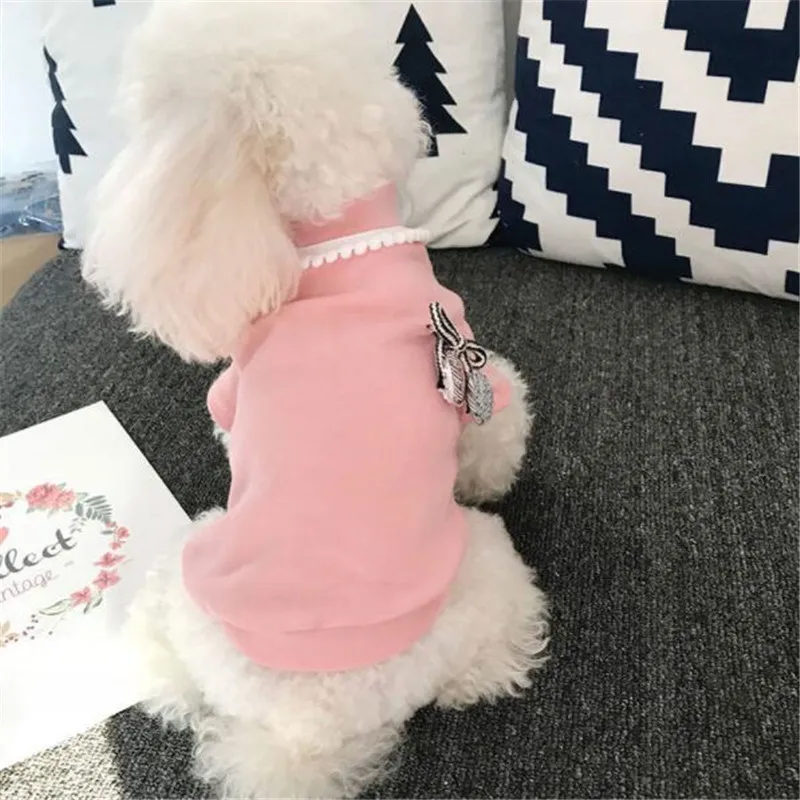 QQ20190227072226