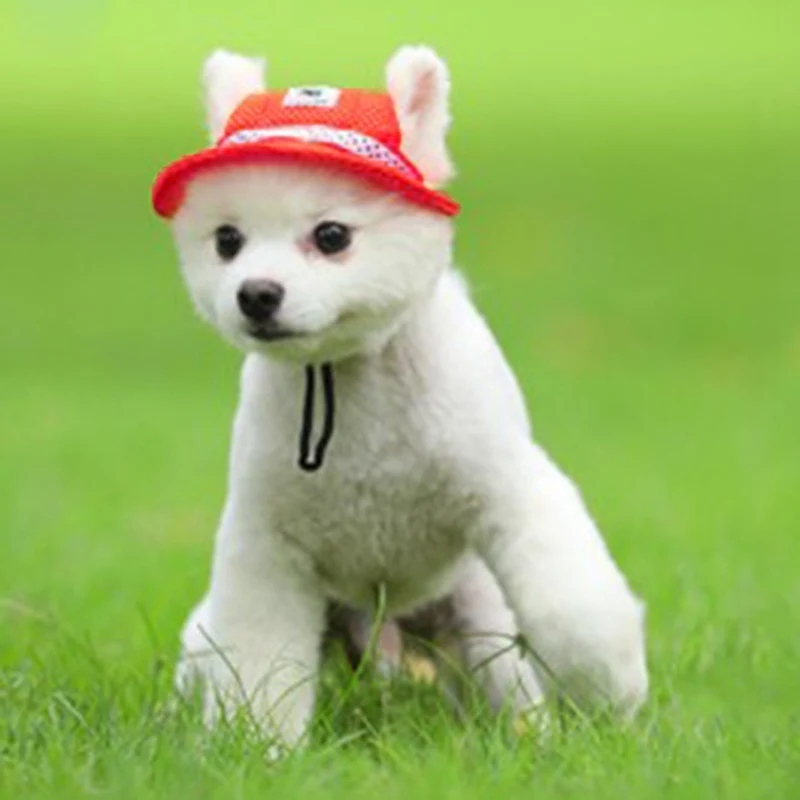 

2019 Summer Pet Dog Cute Print Cap Baseball Hat Small Dog Outdoor Hat Pet Grooming Dog Hat Pets Accessories For Dogs Cats