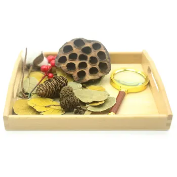 

Montessori Practical Life Material Plants Activities Nature Sensory Toys Educatioal Wooden Toys For Children Juguetes MF0464H