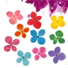 30 шт./компл. натуральные свежие вечные цветы сушеная соцветия гортензии для DIY украшения настоящая вечная жизнь цветы материал