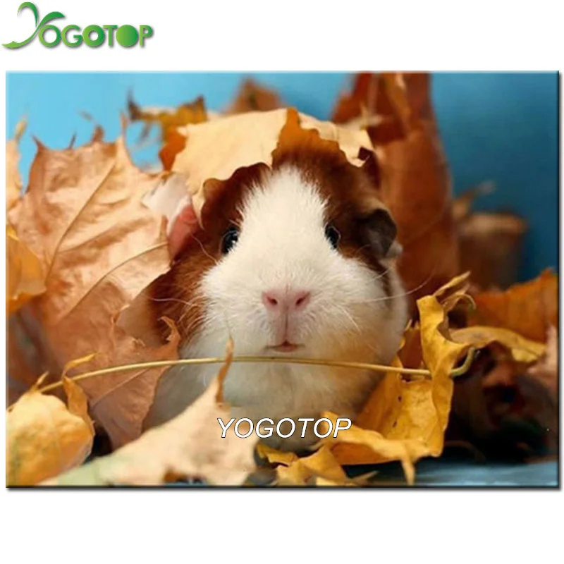 YOGOTOP Round DIY Diamond Painting Animals Cute Guinea Pig