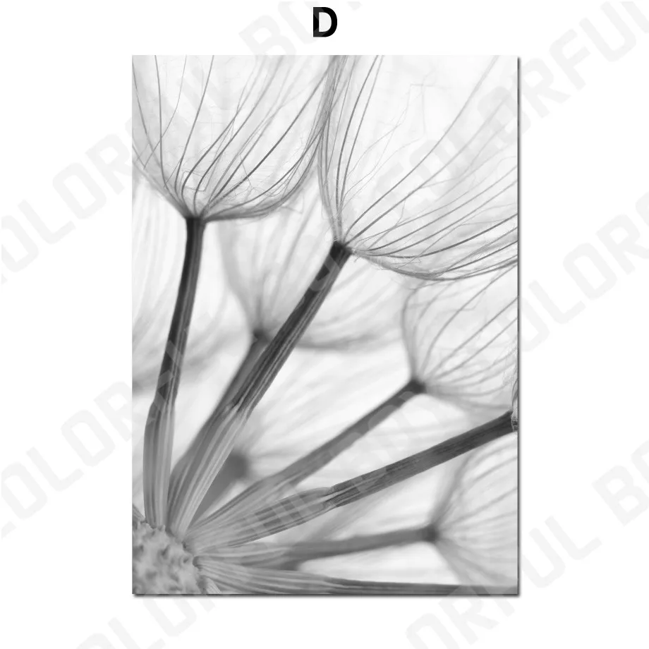 Цветок девушка Одуванчик перо пейзаж стены Искусство Холст Живопись скандинавские плакаты и принты настенные картины для декора гостиной - Цвет: D