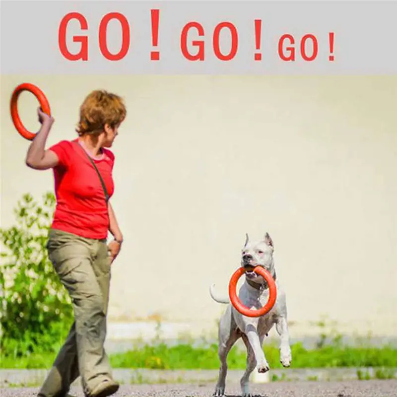 إيفا المحمولة في الهواء الطلق كبيرة دمية على شكل كلب s الكلب تحلق أقراص الحيوانات الأليفة التدريب حلقة التفاعلية التدريب دمية على شكل كلب الح... إيفا المحمولة في الهواء الطلق كبيرة دمية على شكل كلب s الكلب تحلق أقراص الحيوانات الأليفة التدريب حلقة التفاعلية التدريب دمية على شكل كلب الح...