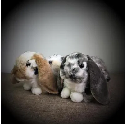 

2019 new arrival 27cm Rabbit Holland Lop Simulative Animal Stuffed Plush Toy soft toy for birthday gift