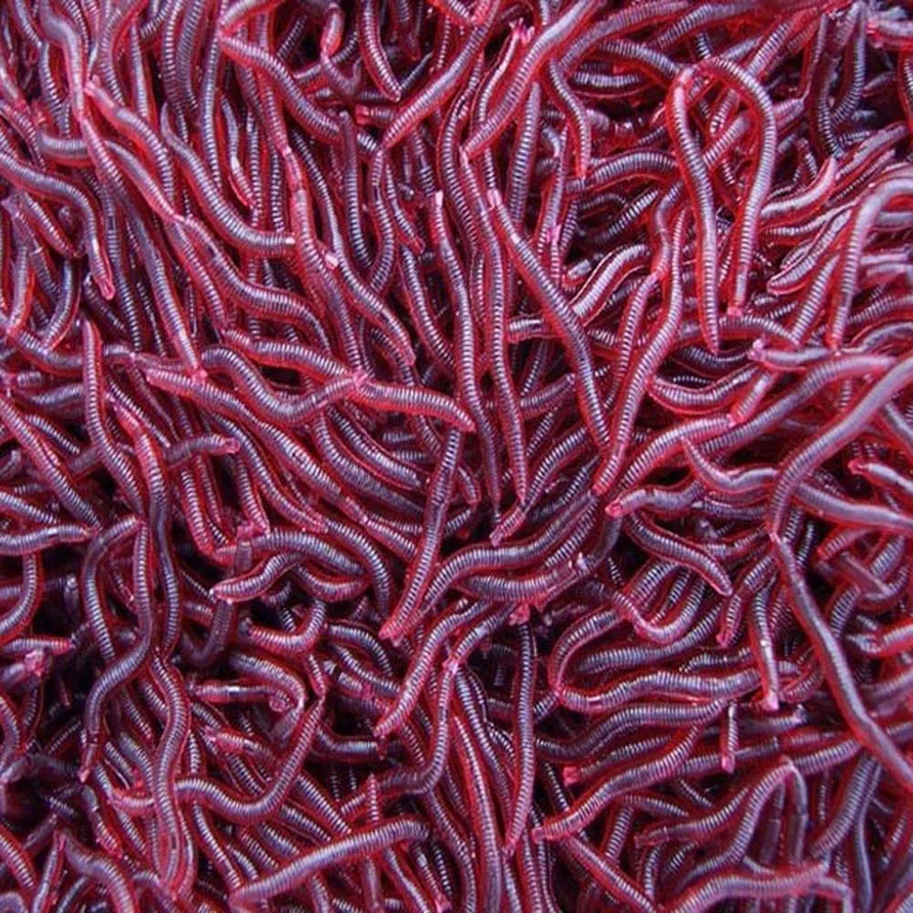 

100pcs/lot 4cm Dark Red Fishing Lure Soft Maggot Earthworm Plastic Artficial Bait Bionic Worm Fishy Smell for Fishing Hot Sale
