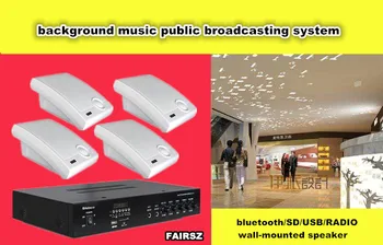 

Background music public broadcasting system wall hung type speaker and 100W audio amplifier SD/USB/Radio/Bluetooth