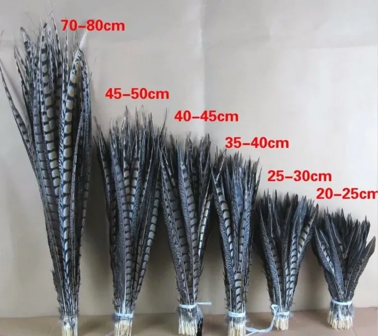 100pcs40-45cm16-18inch amherst перья фазана Природные Перья Шлейф объемные украшения из перьев