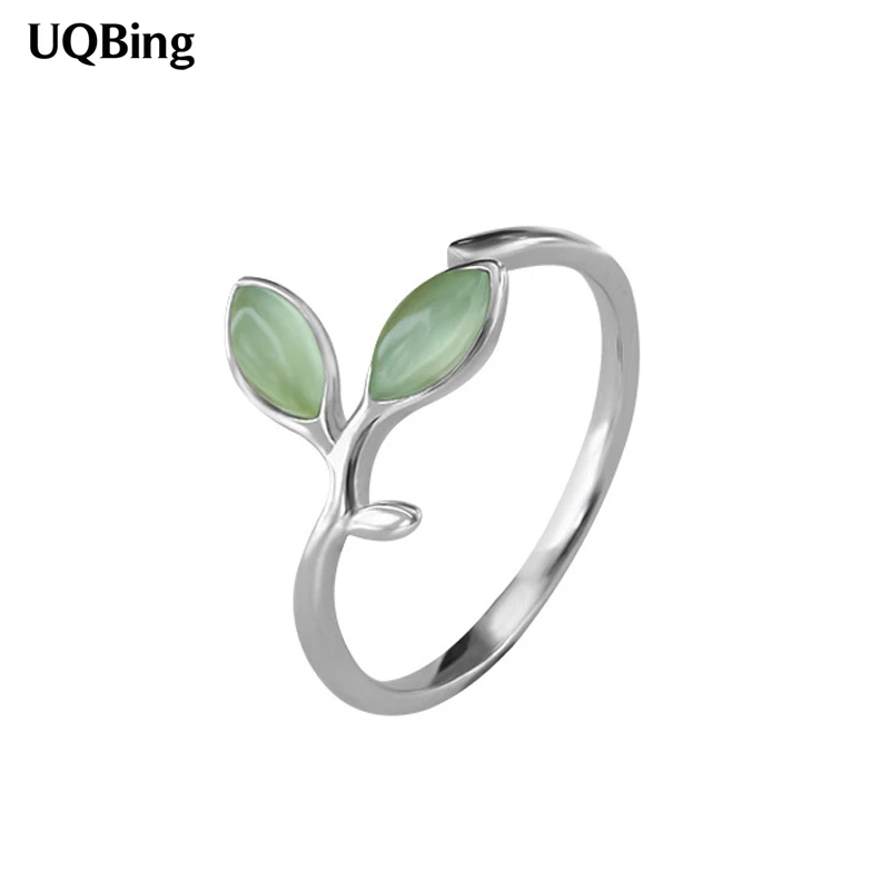 8615267502_823318017