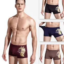 4pcs/set Men Sexy Cotton Underwear boxer Dragon Pattern Boxers Homme Comfortable Underpants Box packed Boxer Para Hombre 4pcs/set Men Sexy Cotton Underwear boxer Dragon Pattern Boxers Homme Comfortable Underpants Box packed Boxer Para Hombre