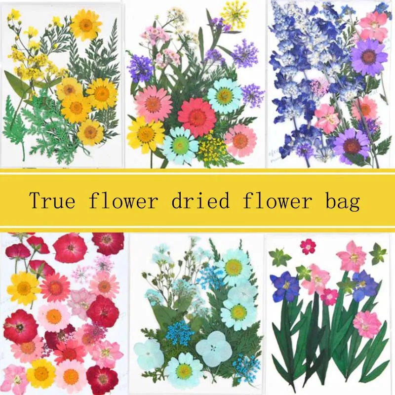 

Pressed Flower Mixed Organic Natural Dried Flowers DIY Art Floral Decors Collection Gift flowers Embossing of cell phone shell