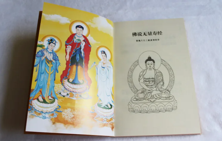 Будда говорит бесконечной жизни Сутра с Pin Инь/Буддийские книги в китайский издание