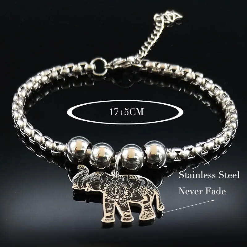 IMG20210305140148A