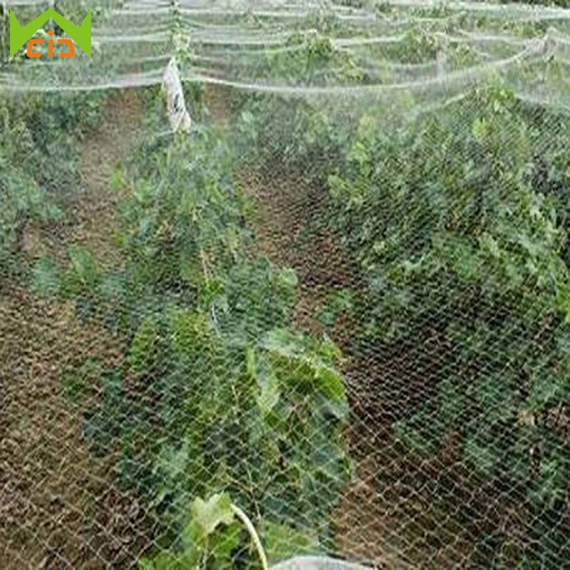

WCIC Polyethylene Bird Preventing Netting Anti Bird Net Crop Fruit Pond Protection Mesh Greenhouse Garden Vegetable Pest Control