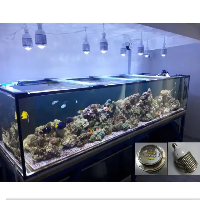 High Power 30w Cree Led Large Coral Aquarium Professional Light Marine Reef Alage Sps Lps Aquatic Growth Lamp Lightings Aliexpress 