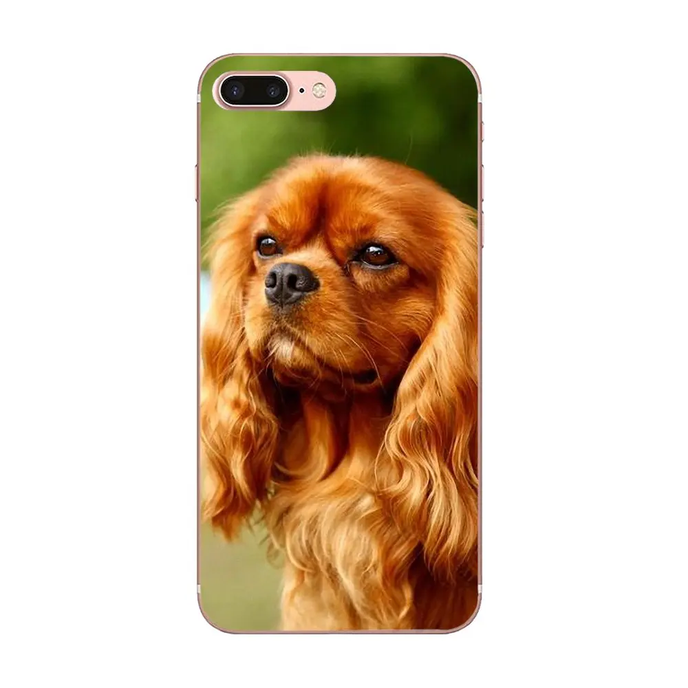 Щенки Bixedx Cavalier King Charles Spaniel для Huawei G7 Y6 II Y7 Xiaomi Redmi Note 2 3 5 Mi 4 4C 4I 5S 5X 6X
