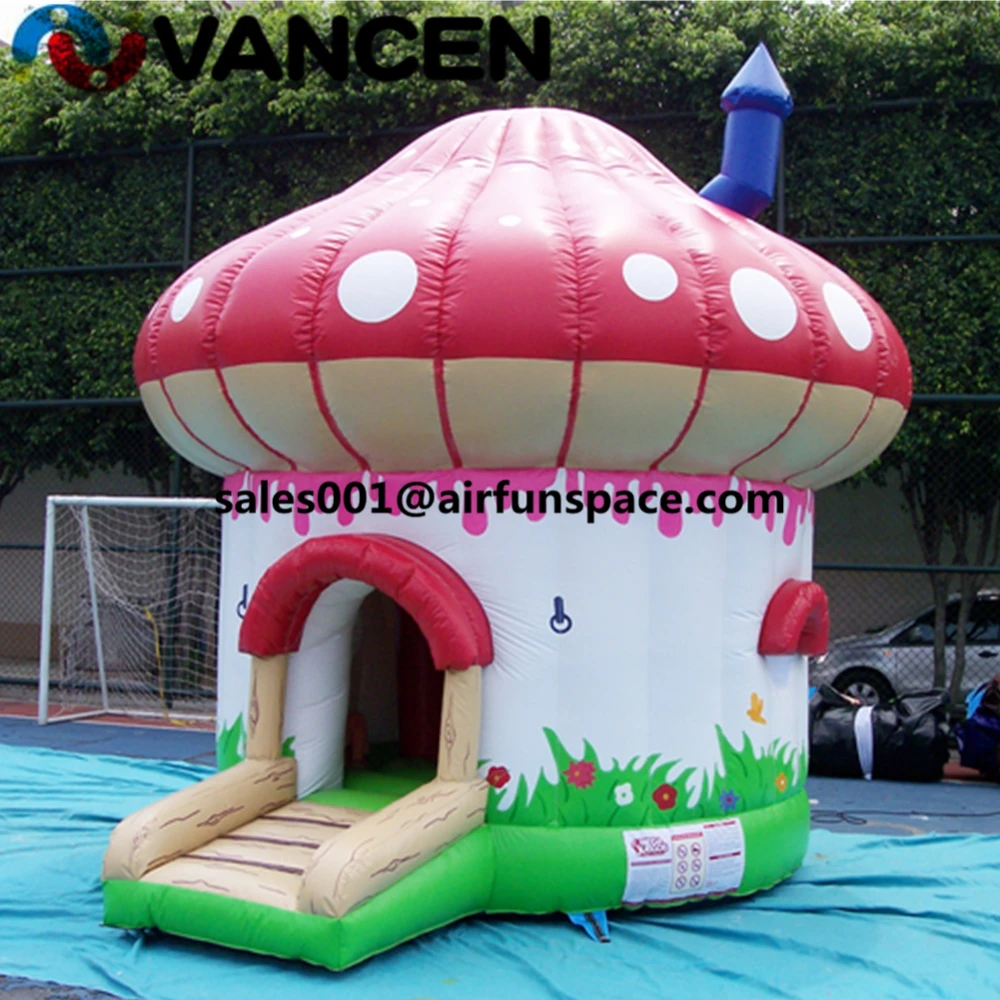 inflatable bouncer15