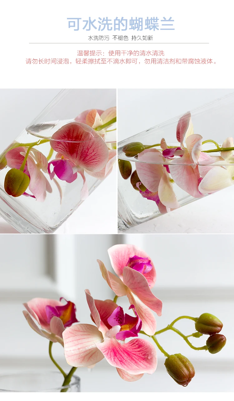 TB2cX7fcyERMeJjSspjXXcpOXXa_!!1986235989