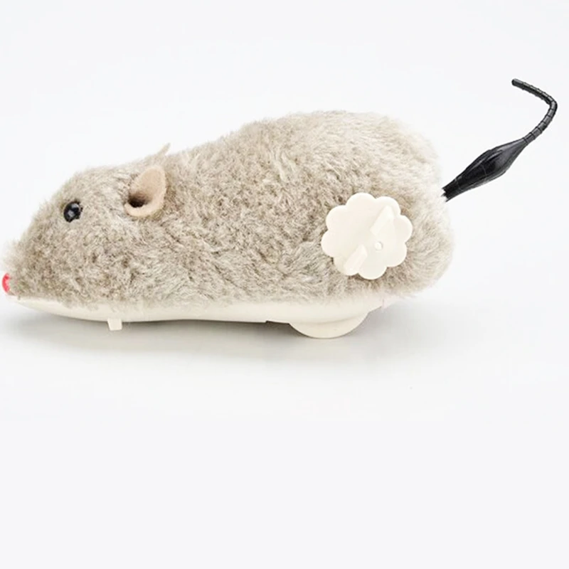 4656671217_1665238694