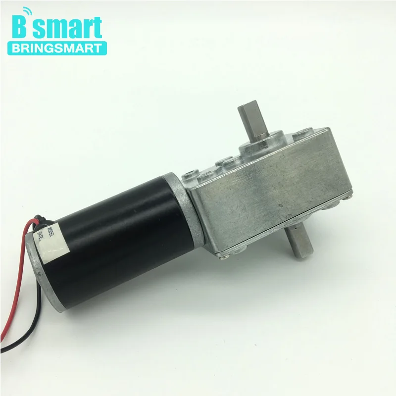 

Bringsmart A58SW31ZYS Double Shaft DC Gear Motor 12V High Torque Mini Turbine Worm Reducer Reversible 24V Advertising Board