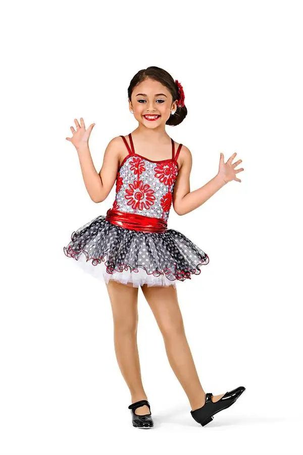 Children's Ballet Princess Dresses Dance Costumes Apparel Silk Flower Embroidered Puff Skirt