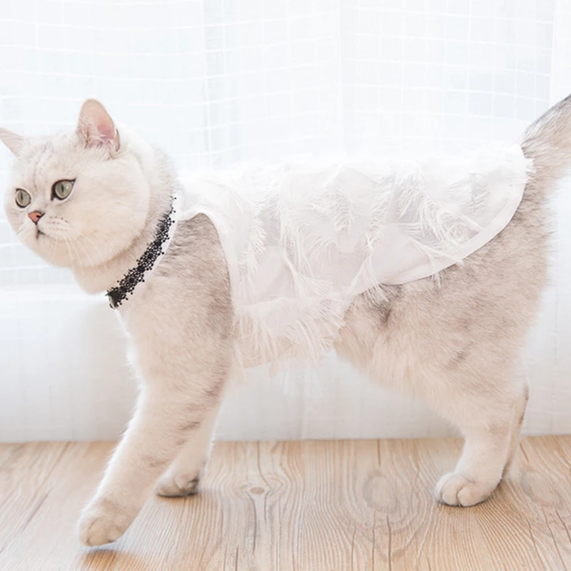 

2019 new style cat clothes pet thin section cute lace skirt in Summer