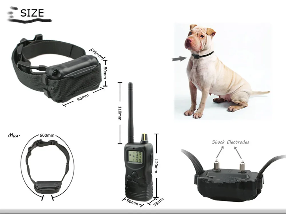 PET900-1 03