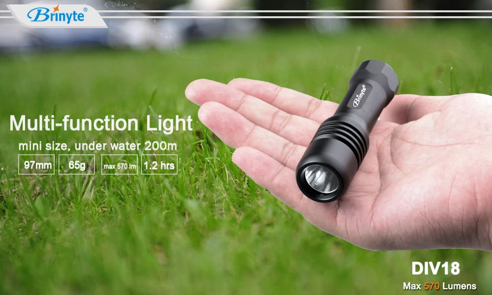 Brinyte Led Dive Light CREE XML2 650lm LED Scuba Diving Torch Dive Mask