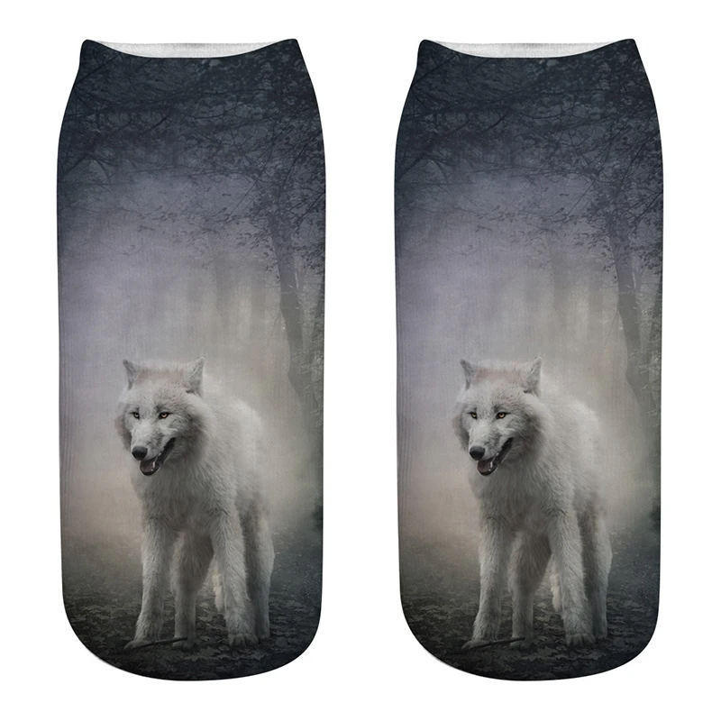 8521045082_520631427