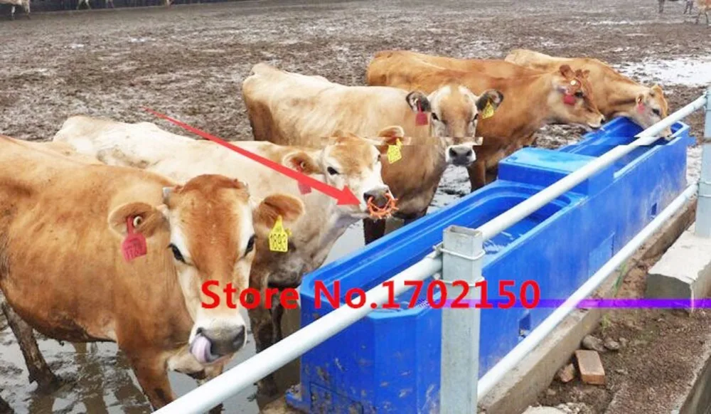 HTB1F3k_HXXXXXXGaXXXq6xXFXXXX