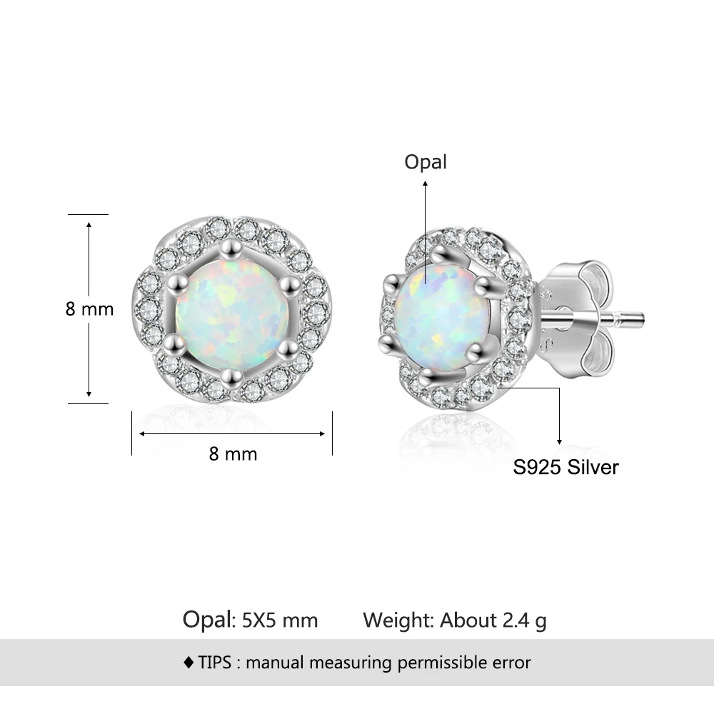 925 Sterling Silver Stud Earrings (5)