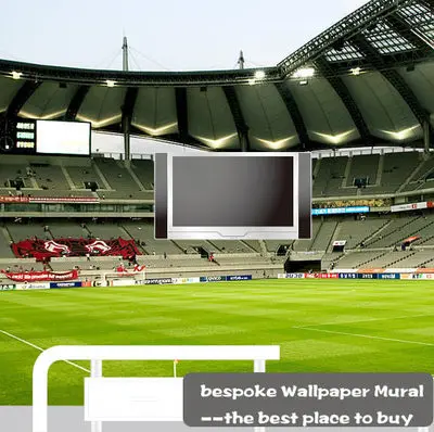 Football Wall Murals popular stadium wall murals-buy cheap stadium wall murals lots Football Wall Murals popular stadium wall murals-buy cheap stadium wall murals lots