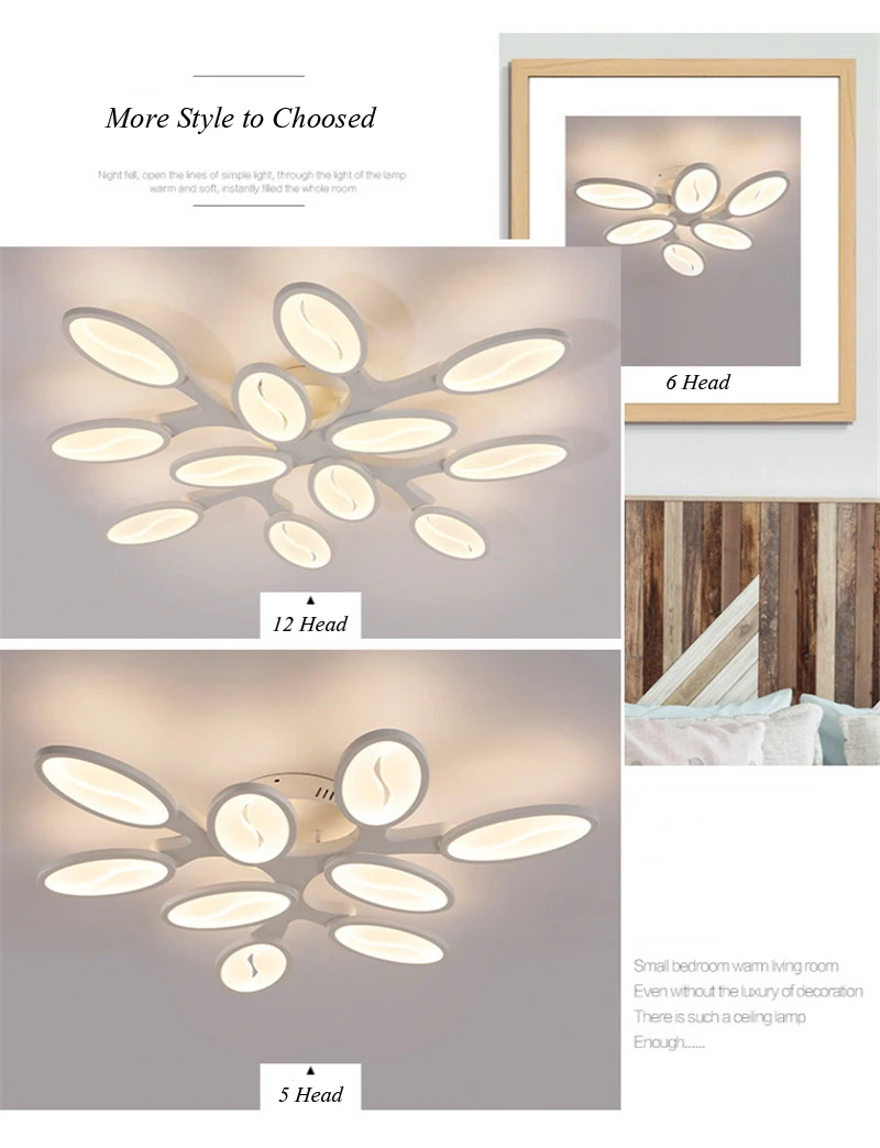 Post modern ceiling lamp (11)