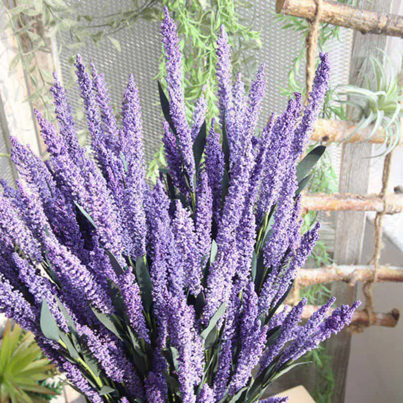 WD0597B (8)