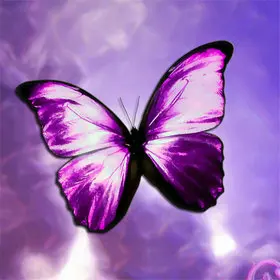 Animal-Needlework-5D-Diy-Diamond-Painting-Cross-Stitch-Butterfly-Painting-Diamond-Embroidery-Full-Square-Diamond-Mosaic.jpg_640x640 (5)_