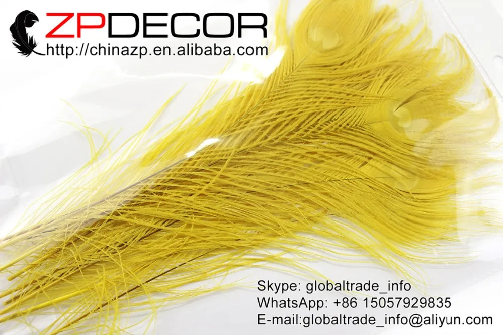 7 Yellow Peacock Tail Feather (160)