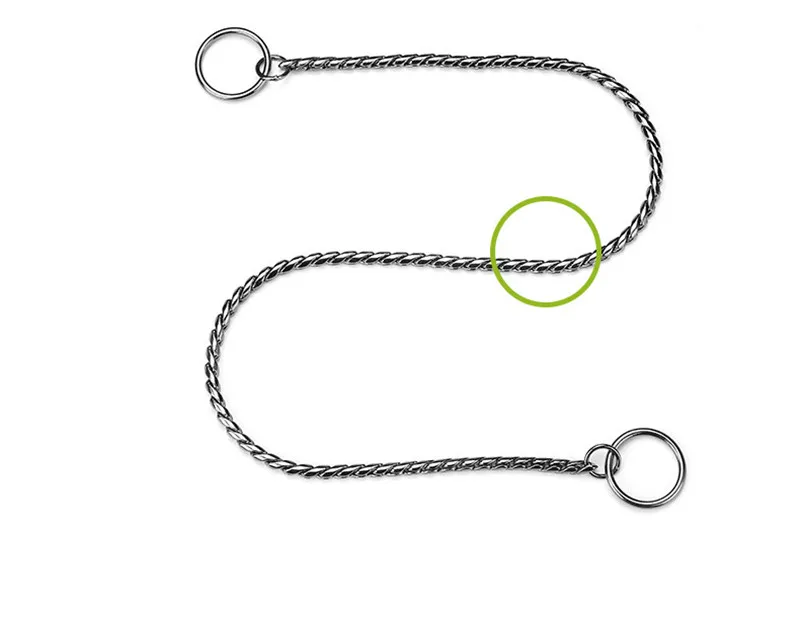 snake chain for dog (8)