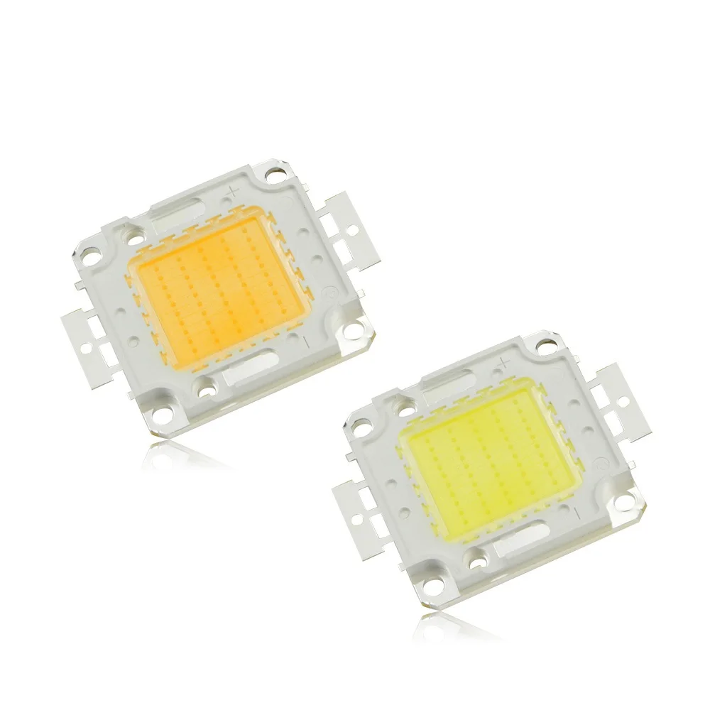 Super bright Integration Bulbs COB 10W 20W 30W 50W 100W LED lamp SMD Outdoor lig