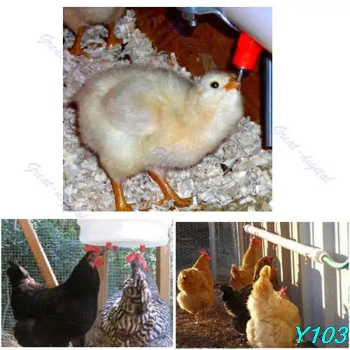 5PCSX  Poultry Water Drinking Nipples Duck Chicken Hen Feeding Screw In Drinker 