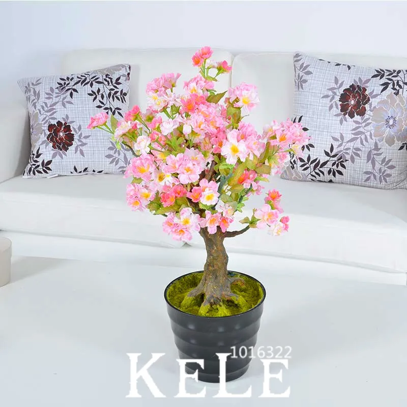 

Best-Selling!10 PCS/Bag Cherry Bonsai Potted Garden And Garden Plant flores Beautiful Japanese Cherry Tree plantas,#ZY7F4E
