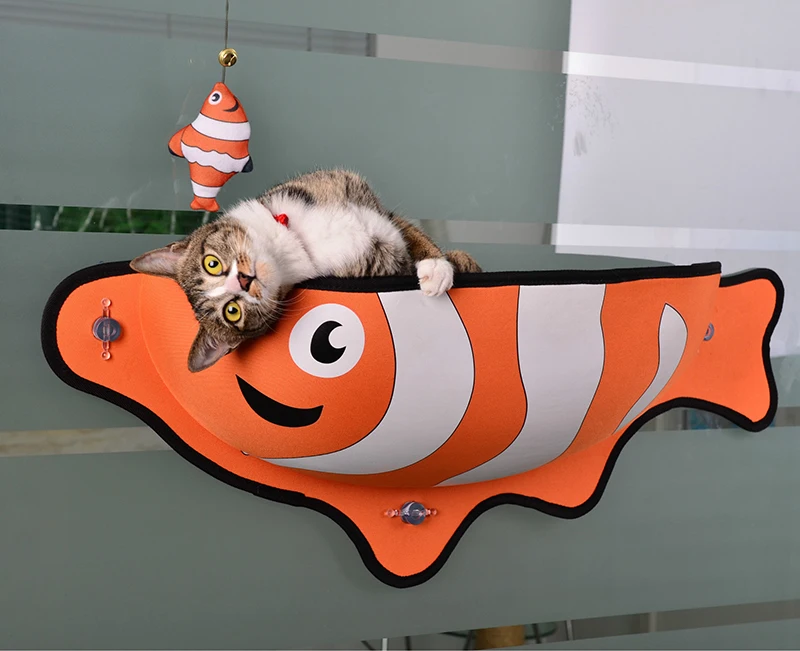 4319451572_1397814943