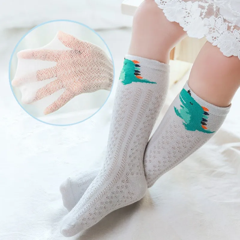 XL2528B (2)