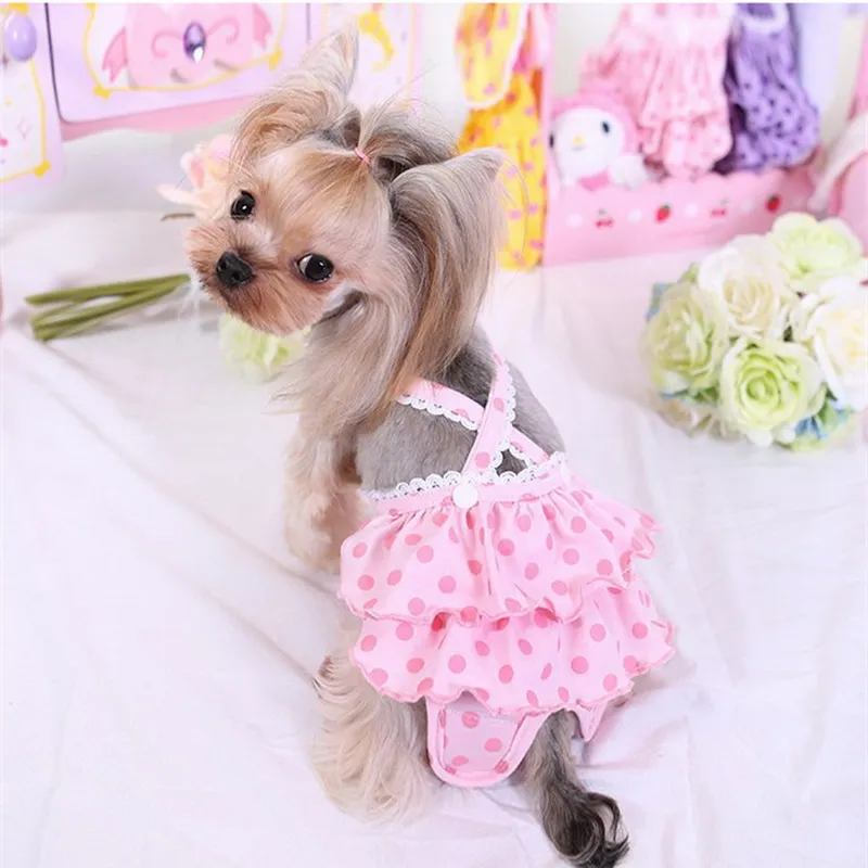 2016 New Arrives Pet Dog Cake Series Menstrual Period Physiological