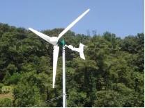 

wind turbine, 2000w, free stand tower