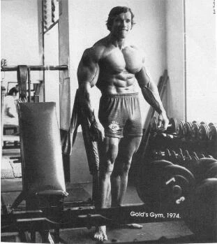 Living Room Home Wall Decoration Fabric Poster Arnold Schwarzenegger Bodybuilding Bodybuilder Barbell Dumbbells Gyms Athletic Arnold Schwarzenegger Bodybuilding Fabric Postersarnold Schwarzenegger Aliexpress