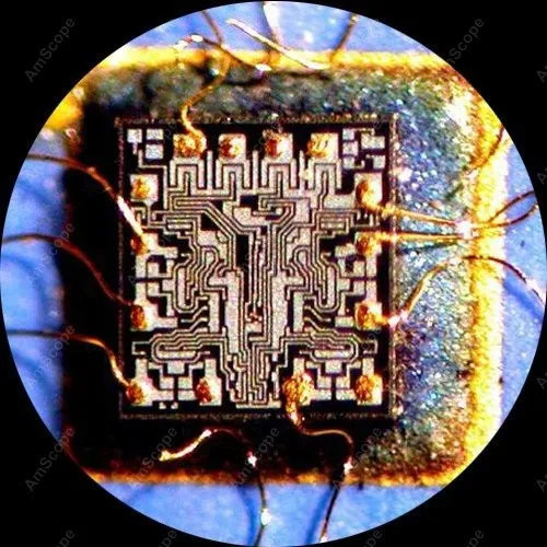 Микроскоп с 144 светодиодами амскоп 3 5x 180X стерео и цифровой камерой 10 МП|microscop|camera