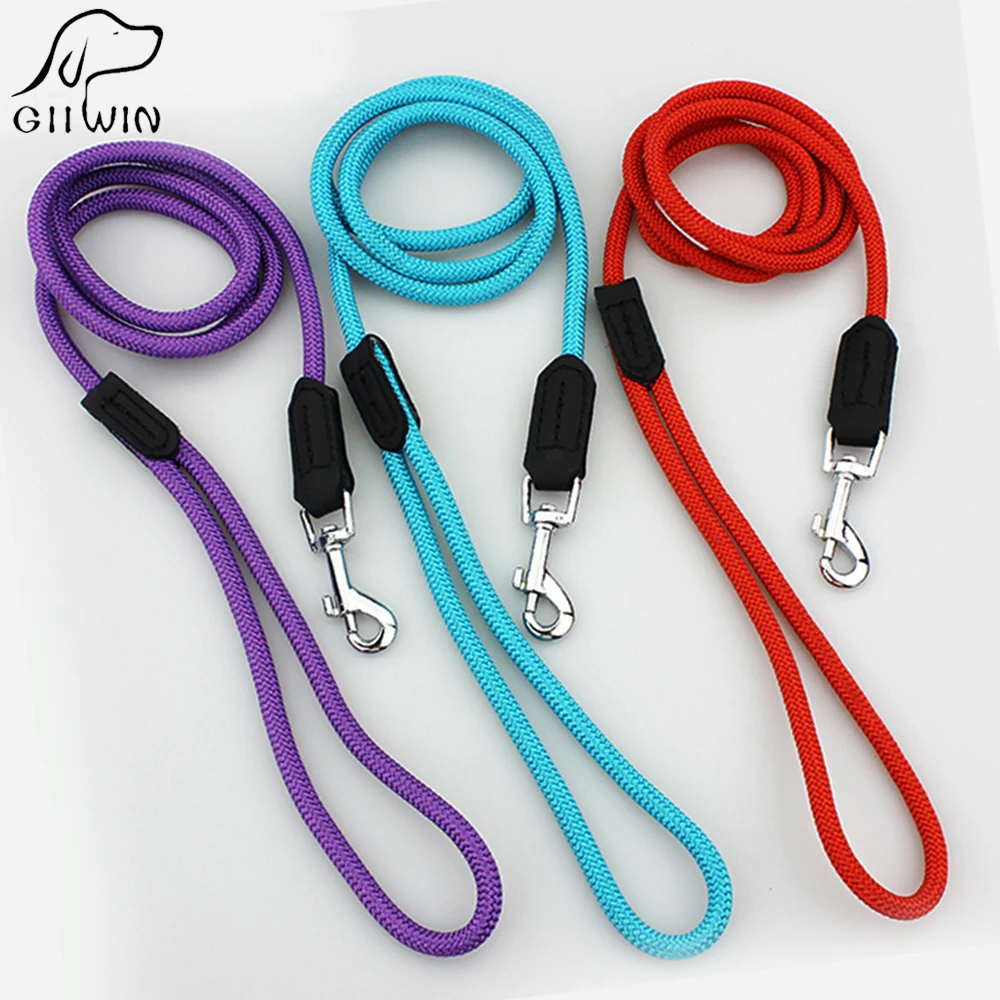 dog leash 1