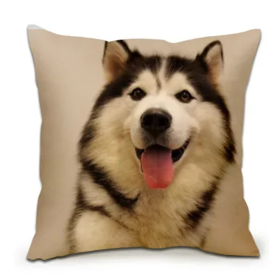 

peachskin flocking large 45x45cm cartoon animal dog printings Square pillow with fillings,sofa cushion home decoration a0627