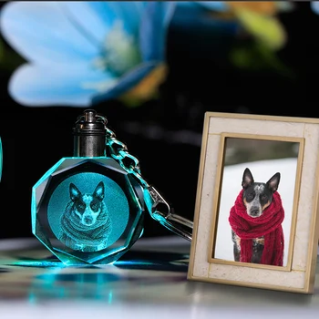 

Fancy Personalized K9 Crystal LED Key Chain Customized Photo for Pets Laser Engraved Photo Key Ring Gift Souvenir for Your Pets